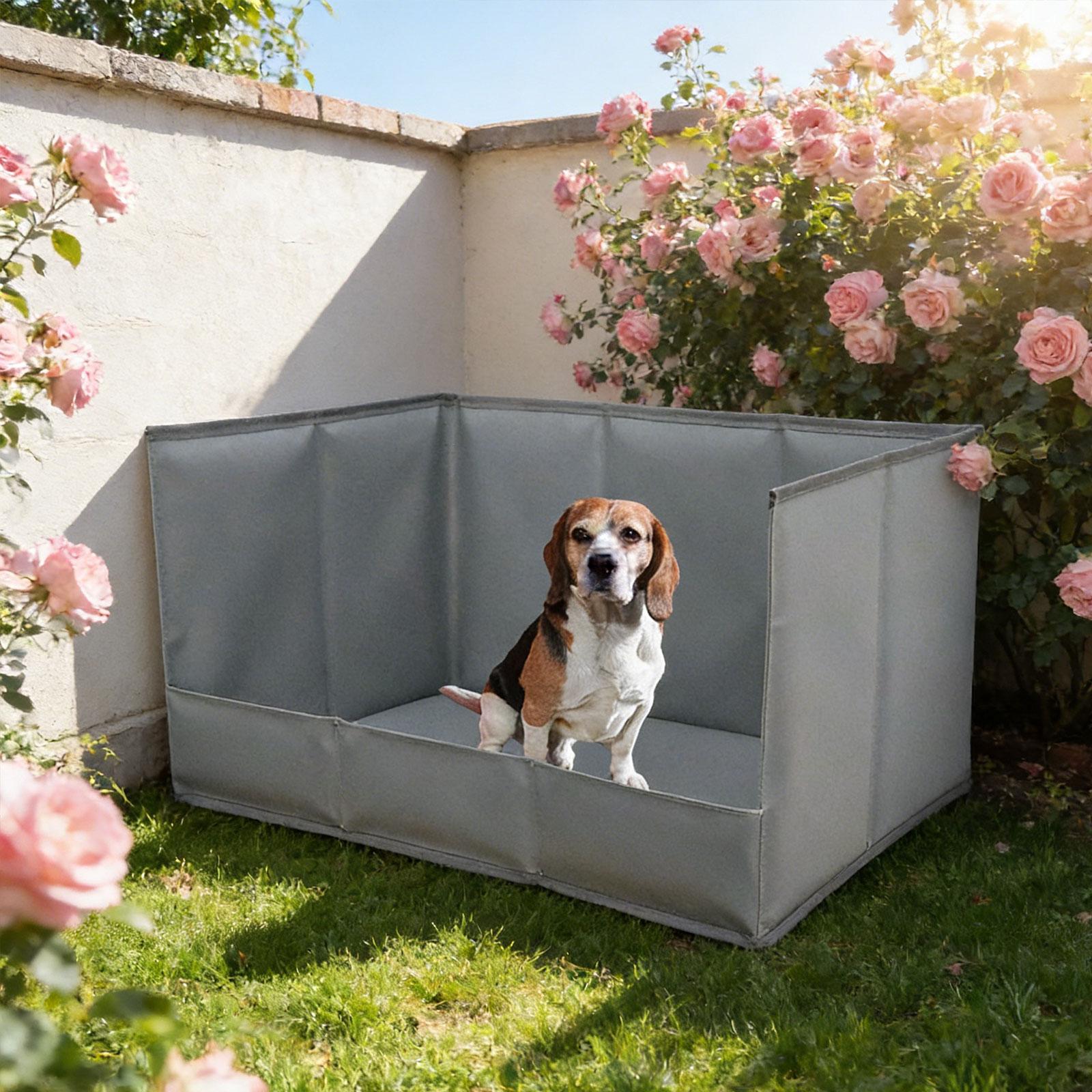 صينية محمولة للكلاب للاستخدام  - مراجعة Bench Dog Hole وسعره